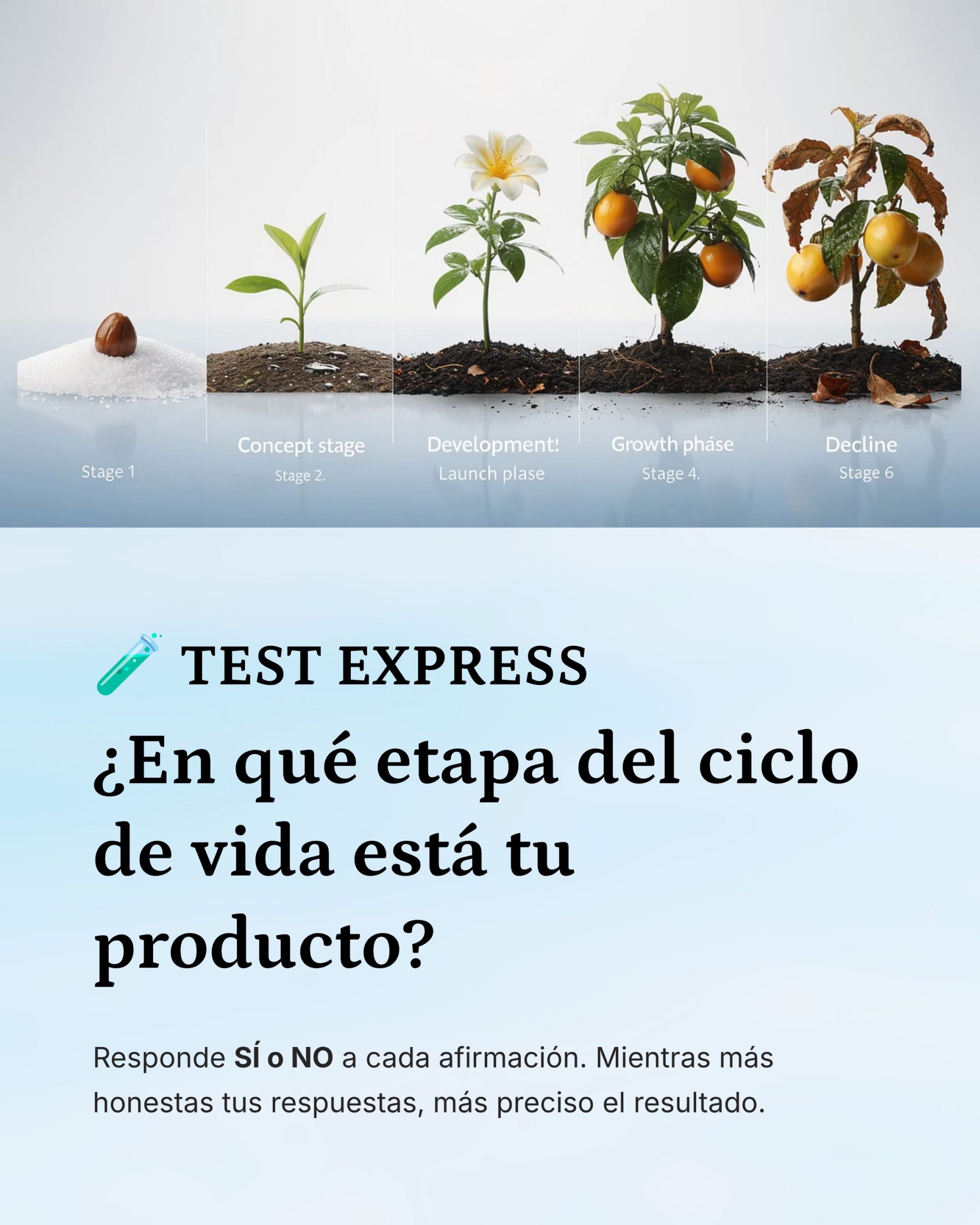Test Express - Conoce Tu Negocio